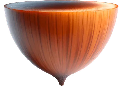 Bottom part of acorn