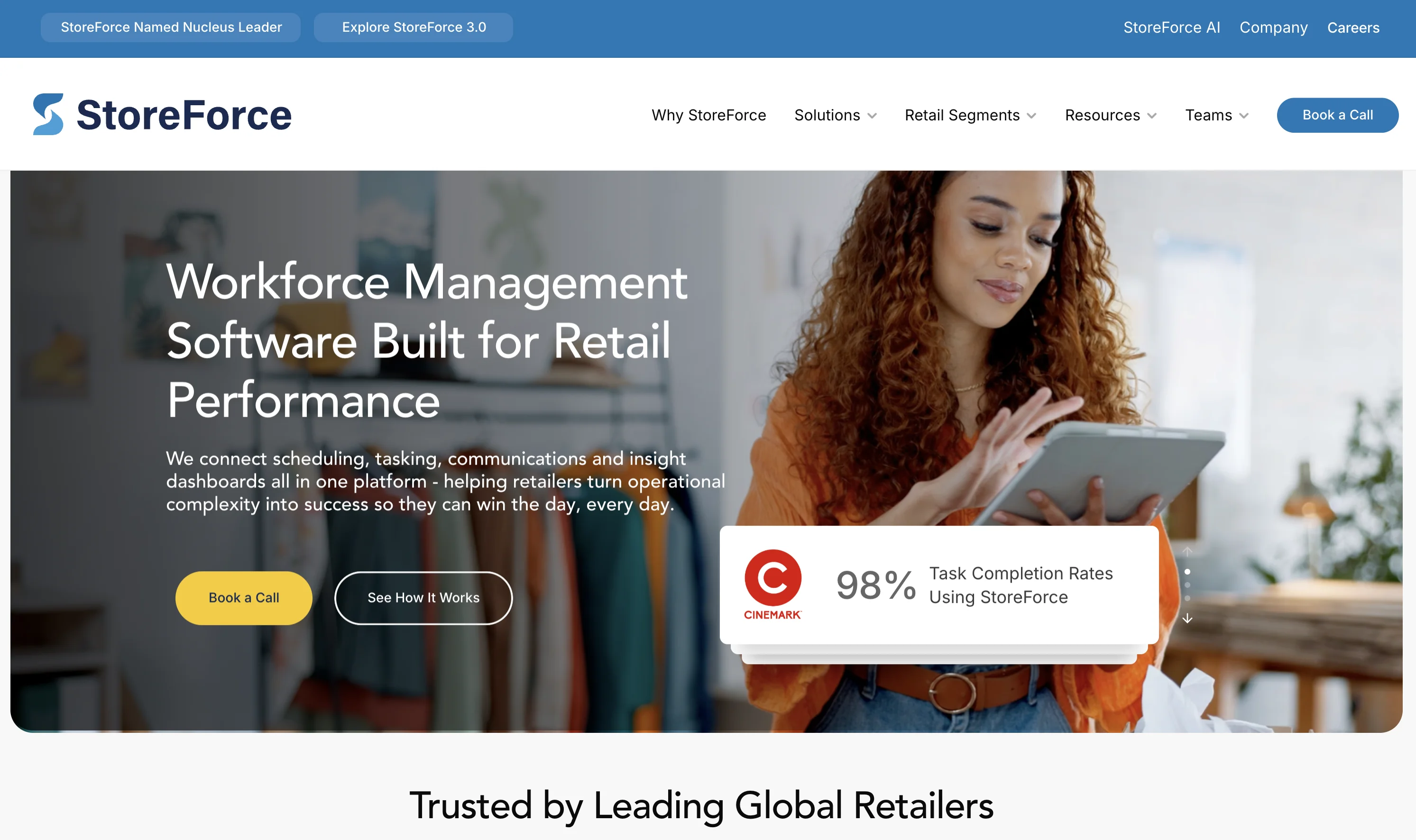 StoreForce website view